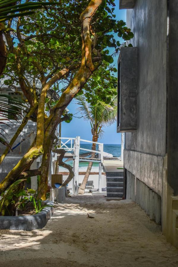 Posada Lamar Tulum Beach Front And Pool Exterior foto
